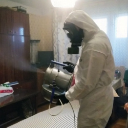 Дезинфекция от клопов в Хабаровске